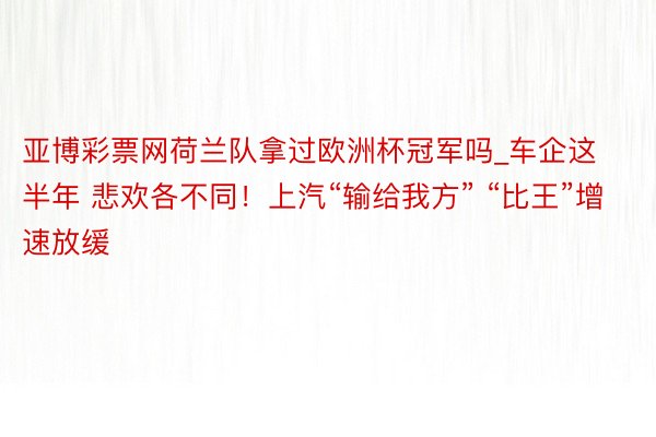 亚博彩票网荷兰队拿过欧洲杯冠军吗_车企这半年 悲欢各不同！上汽“输给我方” “比王”增速放缓