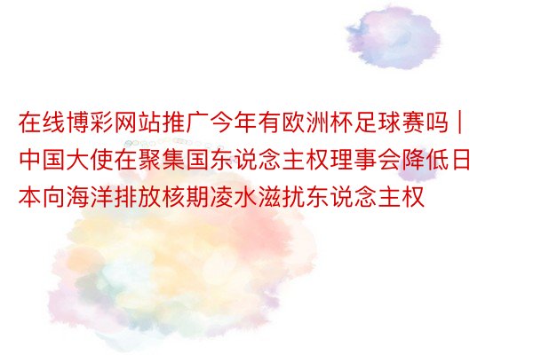 在线博彩网站推广今年有欧洲杯足球赛吗 | 中国大使在聚集国东说念主权理事会降低日