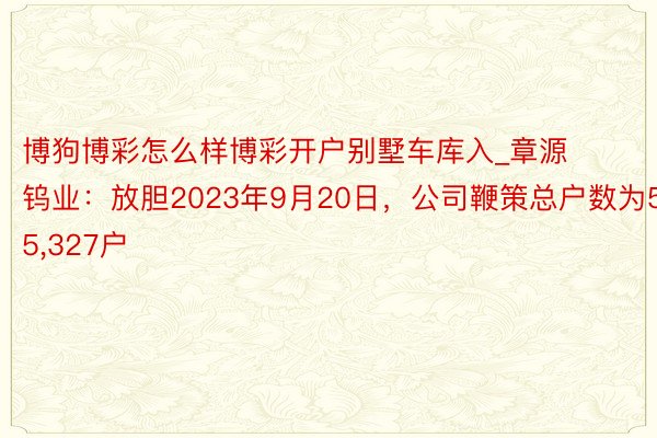 博狗博彩怎么样博彩开户别墅车库入_章源钨业：放胆2023年9月20日，公司鞭策总